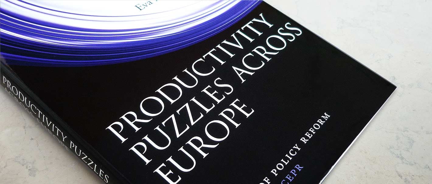 Article-picture "Recent book publication: Productivity Puzzles Across Europe"