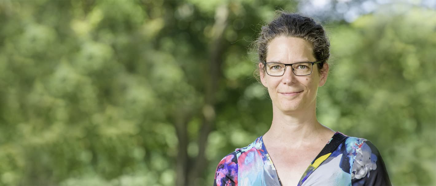 Beitrag Bild
