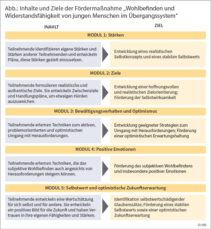 Abbildung: Inhalte und Ziele der Fördermaßnahme „Wohlbefinden und Widerstandsfähigkeit von jungen Menschen im Übergangssystem